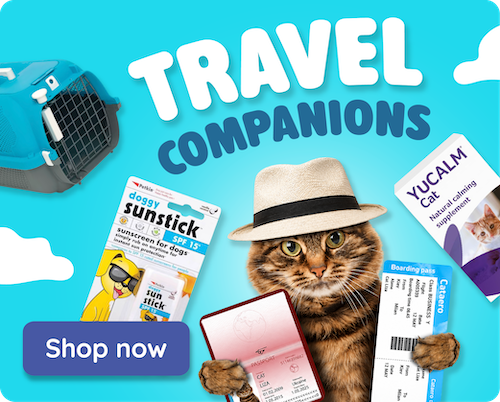 Travel Accessories